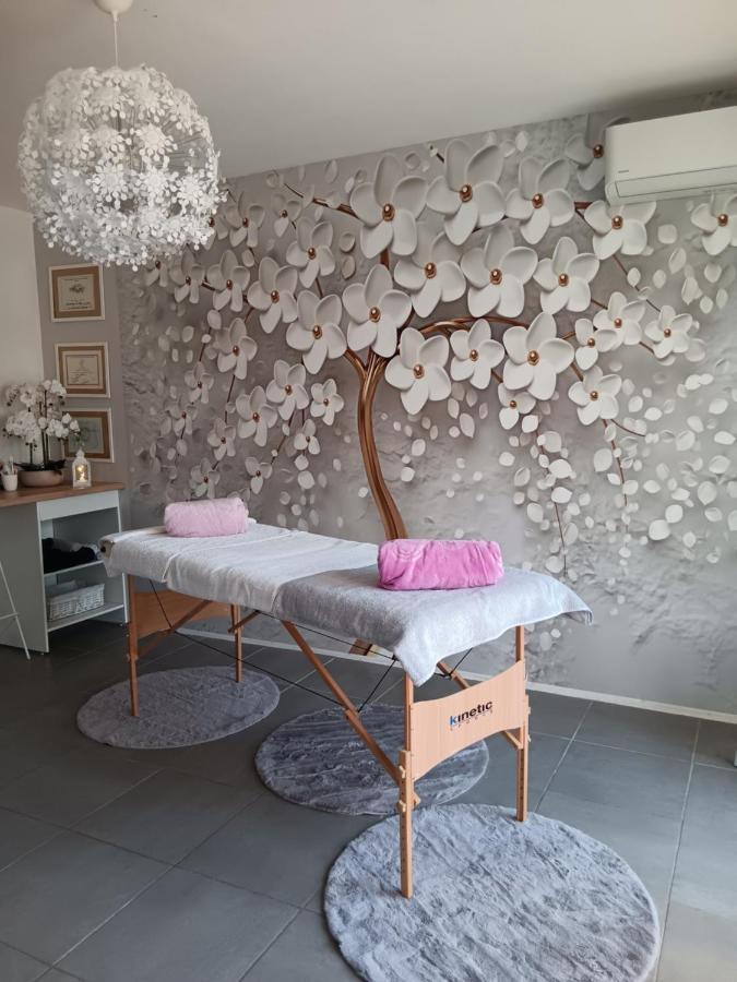 Chambre Cosy Non Fumeur Lejlighed Châteaurenard Eksteriør billede